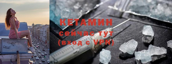 ПСИЛОЦИБИНОВЫЕ ГРИБЫ Осинники