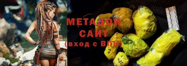 ПСИЛОЦИБИНОВЫЕ ГРИБЫ Осинники