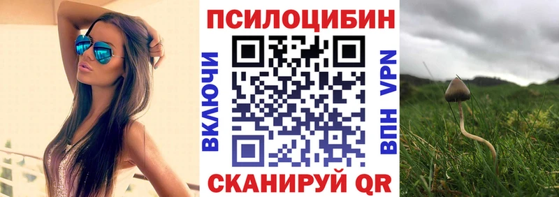 как найти наркотики  Суоярви  OMG ССЫЛКА  Галлюциногенные грибы Psilocybe 